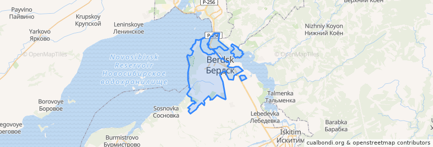 Mapa de ubicacion de Berdsk municipality.
