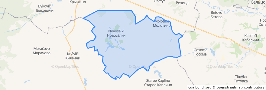 Mapa de ubicacion de Новосельское сельское поселение.