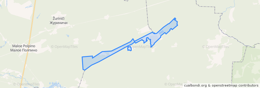 Mapa de ubicacion de Пальцовское сельское поселение.