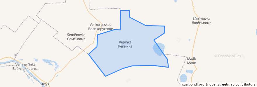 Mapa de ubicacion de Репинское сельское поселение.