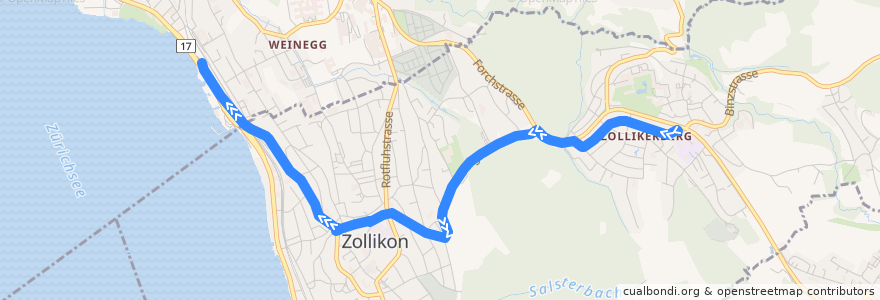 Mapa del recorrido Bus 910: Zollikerberg, Station → Zürich, Bahnhof Tiefenbrunnen de la línea  en Zürich.
