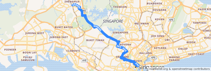 Mapa del recorrido Svc 700A (Bukit Panjang Temporary Bus Park => Temasek Ave [Loop]) de la línea  en Singapore.