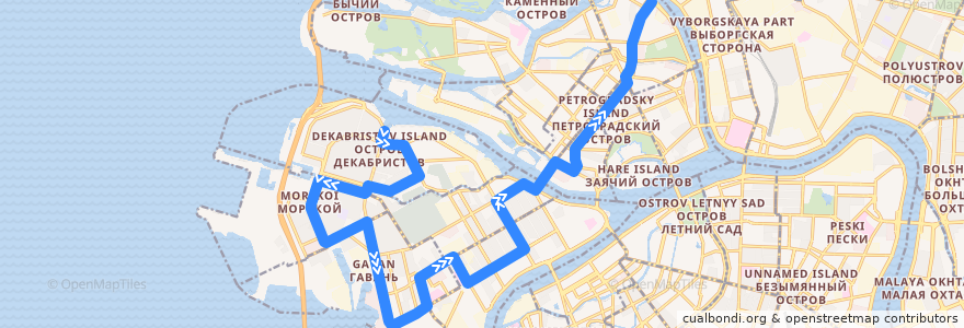 Mapa del recorrido Автобус № 128: улица Кораблестроителей => Аптекарская набережная de la línea  en サンクト ペテルブルク.