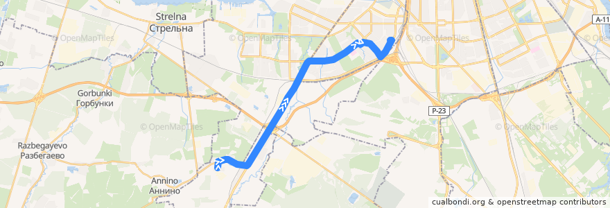 Mapa del recorrido Автобус № 81: Торики => Счастливая улица de la línea  en San Petersburgo.