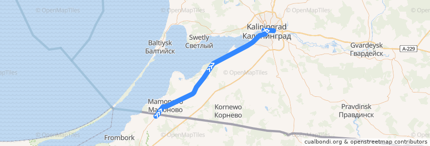 Mapa del recorrido Bus 253: Essen => Kaliningrad de la línea  en Óblast de Kaliningrado.