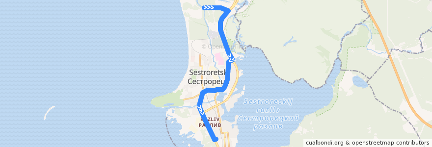 Mapa del recorrido Автобус № 310: санаторий «Белые ночи» => Сестрорецк, 38 квартал de la línea  en Сестрорецк.