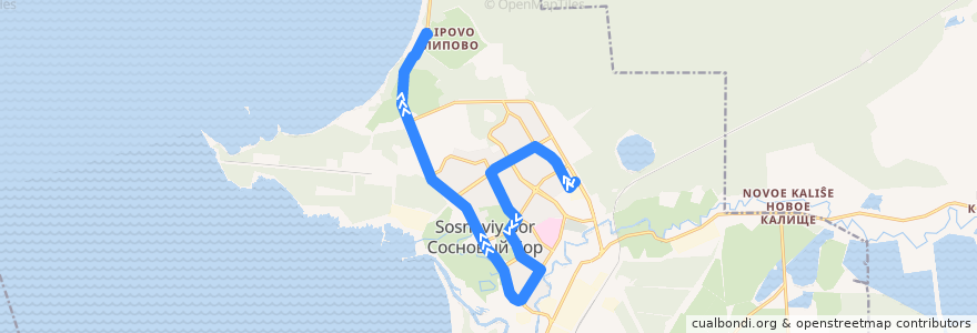 Mapa del recorrido Автобус № 12: АТП => Липово de la línea  en Сосновоборский городской округ.