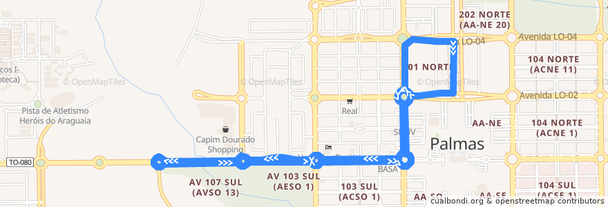 Mapa del recorrido 09 APINAJÉ/CAPIM DOURADO de la línea  en パルマス.