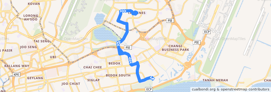 Mapa del recorrido Svc 46 (Tampines Interchange => Upper East Coast Terminal) de la línea  en سنغافورة.