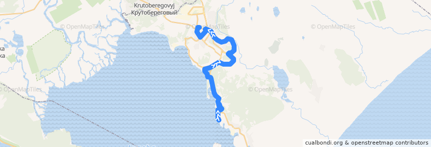 Mapa del recorrido Автобус №2: м-н Детский мир - ул. Рябиковская (Конечная) (Обратный) de la línea  en городской округ Петропавловск-Камчатский.